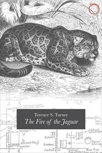 Cover image for The Fire of the Jaguar