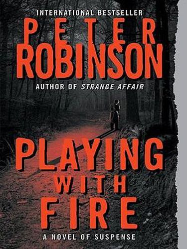Playing with Fire: A Novel of Suspense