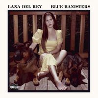 Cover image for Blue Banisters