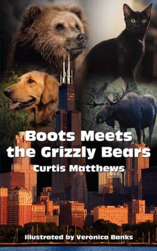 Cover image for Boots Meets the Grizzly Bears