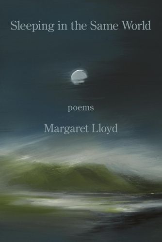 Cover image for Sleeping in the Same World