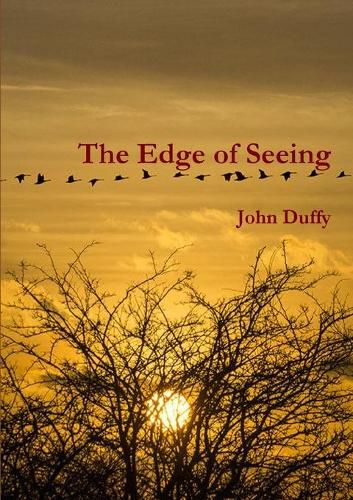 Cover image for The Edge of Seeing