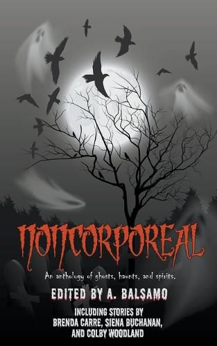 Cover image for Noncorporeal