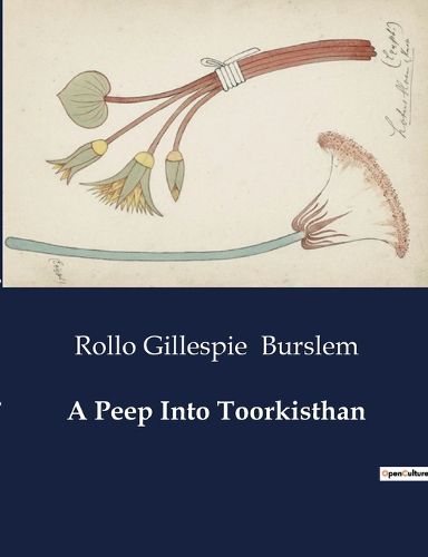 Cover image for A Peep Into Toorkisthan