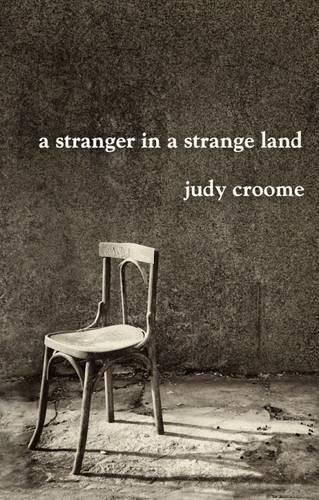 Cover image for A Stranger in a Strange Land