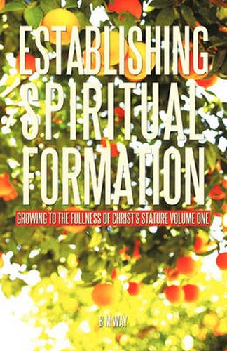 Cover image for Establishing Spiritual Formation