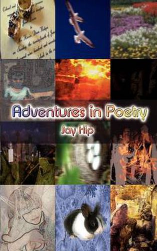 Cover image for Adventures in Poetry