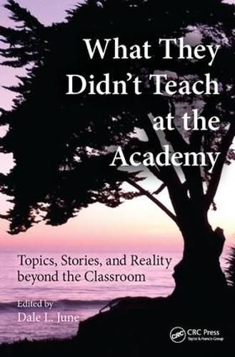 Cover image for What They Didn't Teach at the Academy: Topics, Stories, and Reality beyond the Classroom