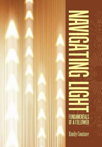 Cover image for Navigating Light