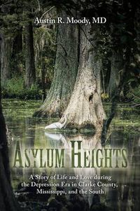 Cover image for Asylum Heights