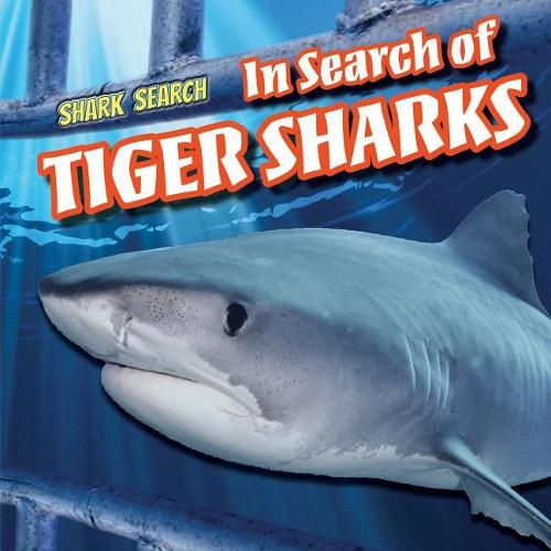 Cover image for In Search of Tiger Sharks