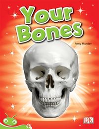 Cover image for Bug Club Level 14 - Green: Your Bones (Reading Level 14/F&P Level H)