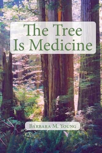 The Tree Is Medicine: Infant Mortality at Cedar Bay