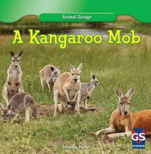 Cover image for A Kangaroo Mob