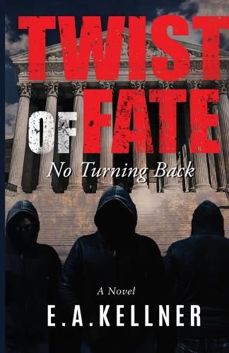 Cover image for Twist of Fate