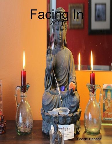 Cover image for Facing In