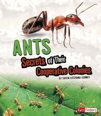 Cover image for Ants: Secrets of Their Cooperative Colonies (Amazing Animal Colonies)