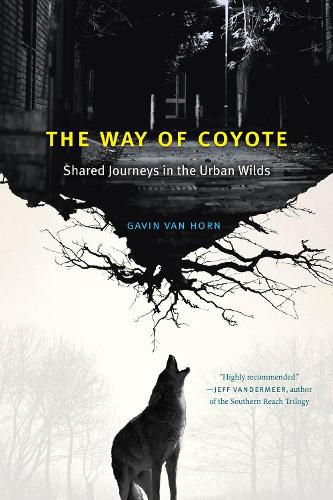 Cover image for The Way of Coyote