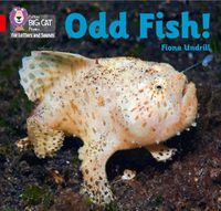 Cover image for Odd Fish!: Band 02b/Red B