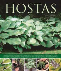 Cover image for Hostas: an Illustrated Guide to Varieties, Cultivation and Care, with Step-by-step Instructions and More Than 130 Beautiful Photographs