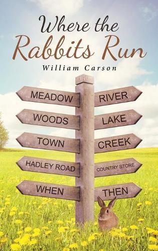 Cover image for Where the Rabbits Run