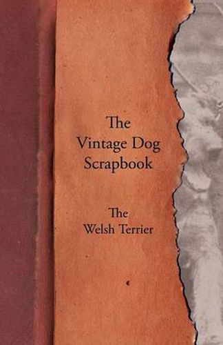 The Vintage Dog Scrapbook - The Welsh Terrier