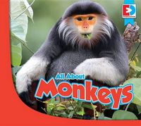 Cover image for All about Monkeys