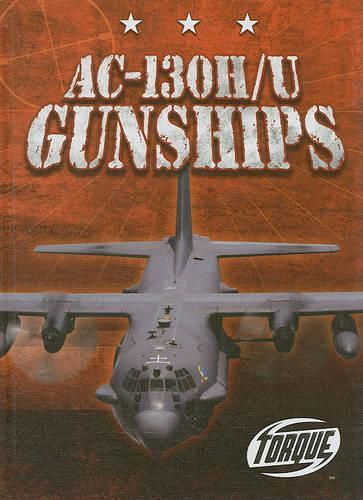 Cover image for Ac-130h/U Gunships