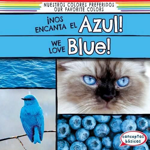 !Nos Encanta El Azul! / We Love Blue!