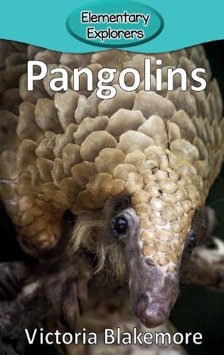 Pangolins