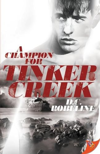 Cover image for A Champion for Tinker Creek