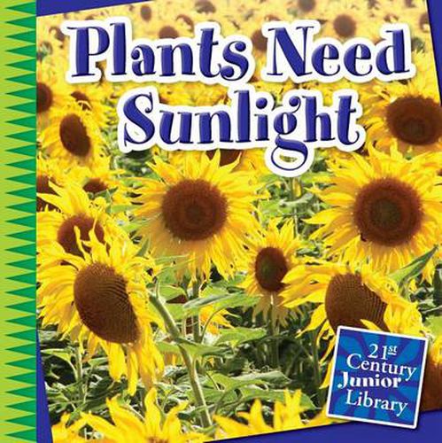 Cover image for Plants Need Sunlight