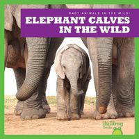 Cover image for Elephant Calves in the Wild