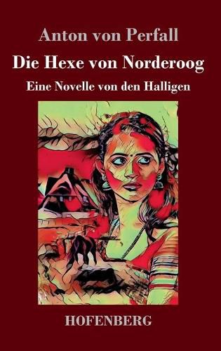 Cover image for Die Hexe von Norderoog: Eine Novelle von den Halligen