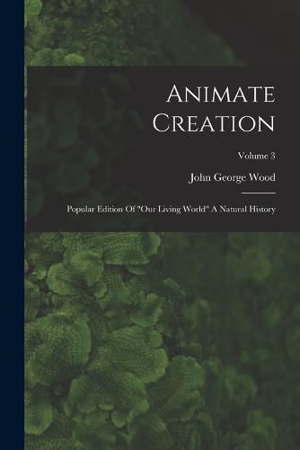 Cover image for Animate Creation