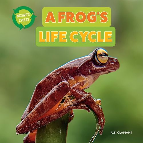 Cover image for A Frog's Life Cycle