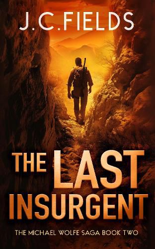 Cover image for The Last Insurgent