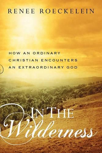 Cover image for In The Wilderness: How An Ordinary Christian Encounters an Extraordinary God