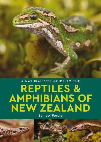 Cover image for A Naturalist's Guide to the Reptiles & Amphibians Of New Zealand