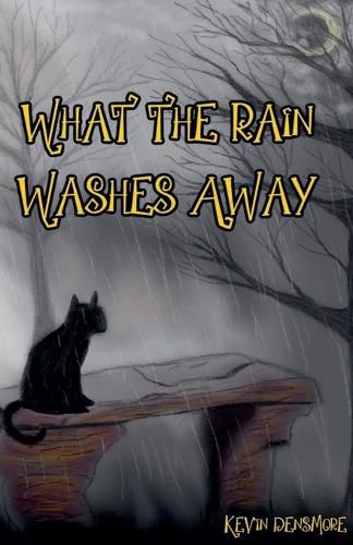 Cover image for What The Rain Washes Away