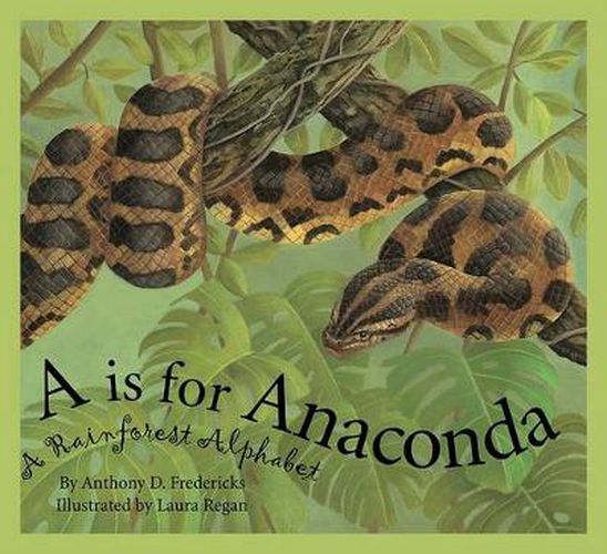 A is for Anaconda: A Rainforest Alphabet