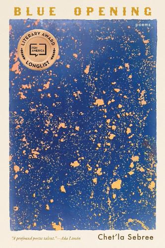 Cover image for Blue Opening