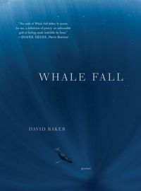 Cover image for Whale Fall