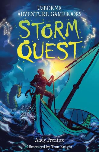 Cover image for Storm Quest