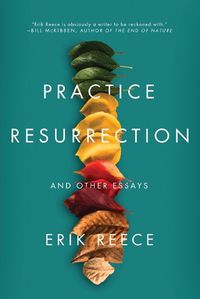 Cover image for Practice Resurrection: And Other Essays