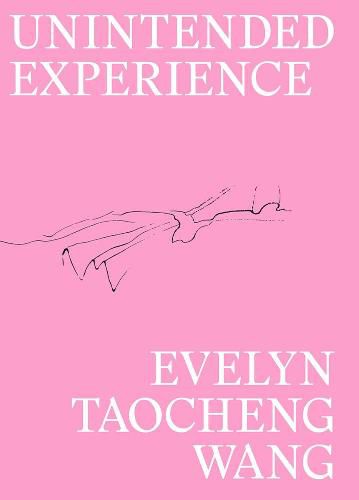 Cover image for Evelyn Taocheng Wang: Unintended Experience: A Job in Amsterdam