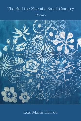 Cover image for The Bed the Size of a Small Country