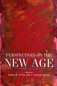 Cover image for Perspectives on the New Age