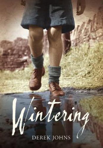 Cover image for Wintering