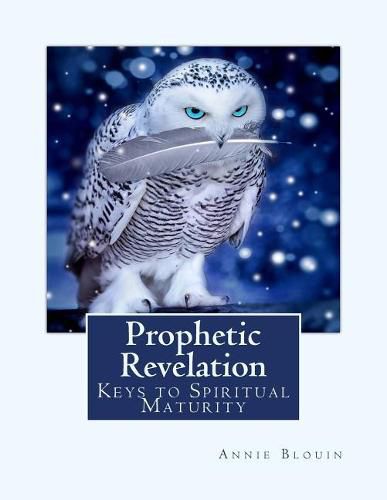 Cover image for Prophetic Revelation: Keys to Spiritual Maturity